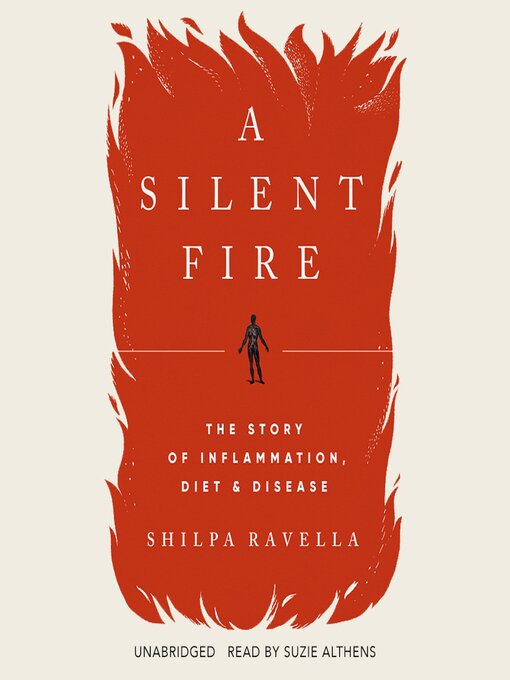 Title details for A Silent Fire by Shilpa Ravella - Available